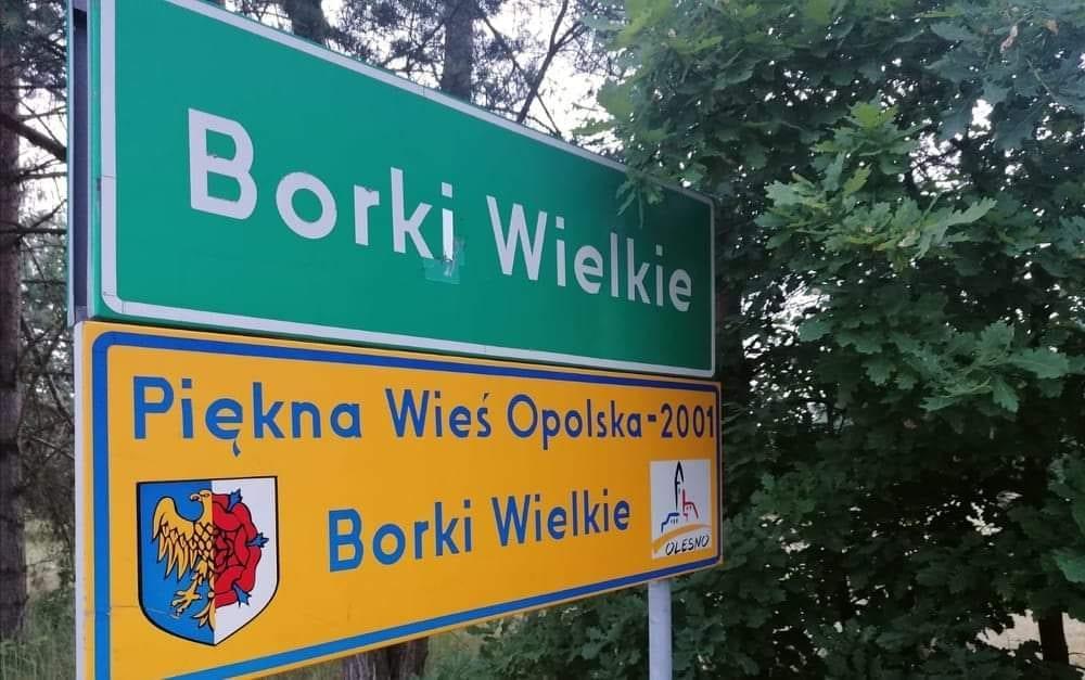 Osrodek Agroturystyczny Borki Borki Wielkie Buitenkant foto